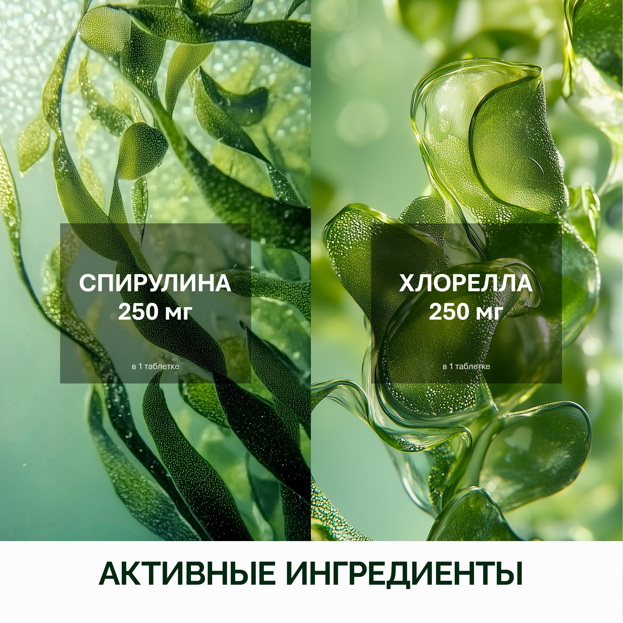 NFO® Спирулина Хлорелла